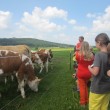 Besuch bei dem Biobauernhof