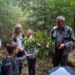 Mit dem Förster im Wald