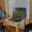 Workshop Stopmotion